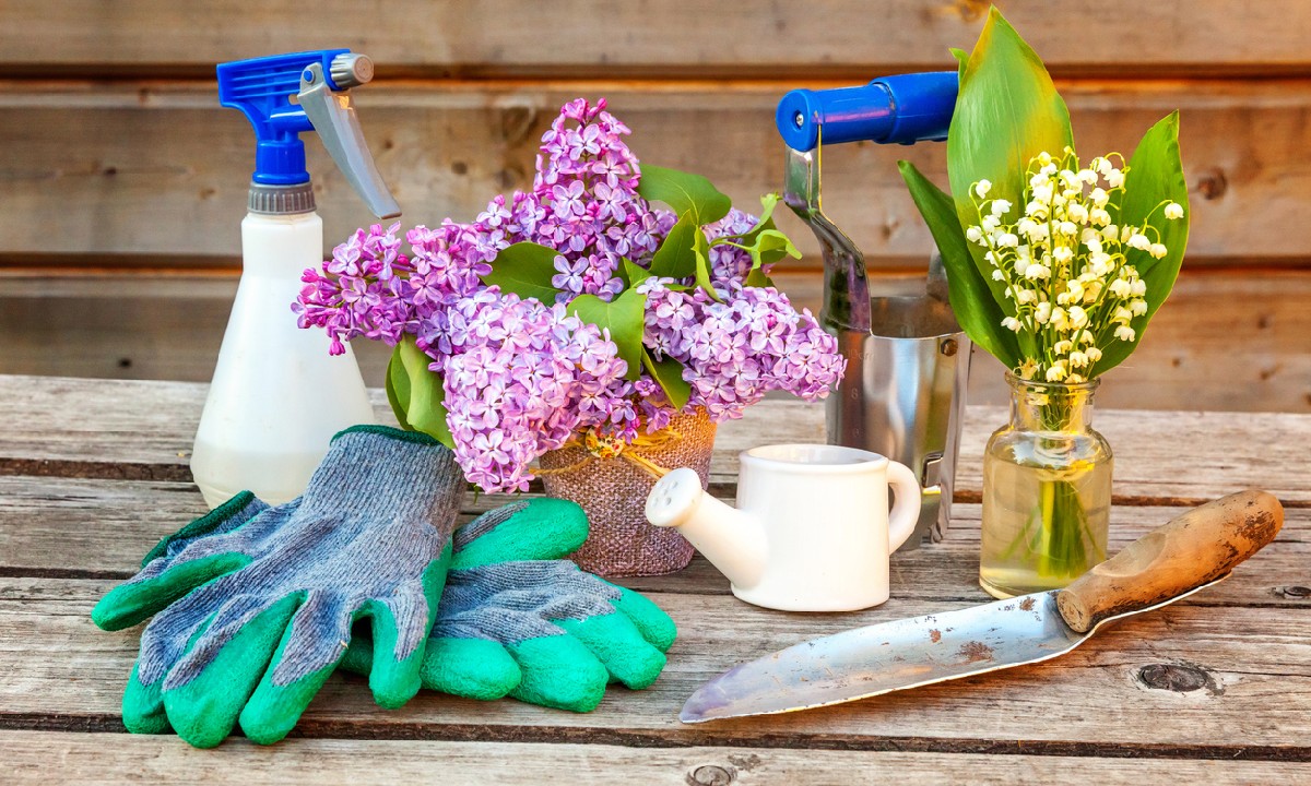 Gift Ideas for a Mom That’s a Green Thumb like a gardening kit